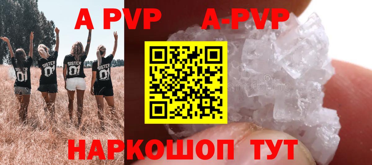 А ПВП СК Старая Русса