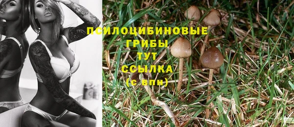 гидропоника Абинск