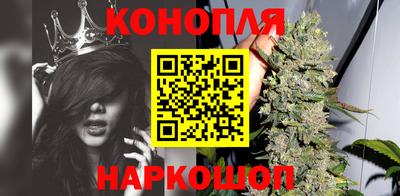 ALPHA PVP Малгобек