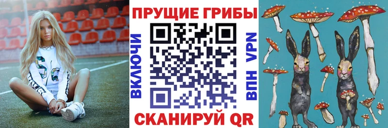 Псилоцибиновые грибы ЛСД  продажа наркотиков  Старая Русса 